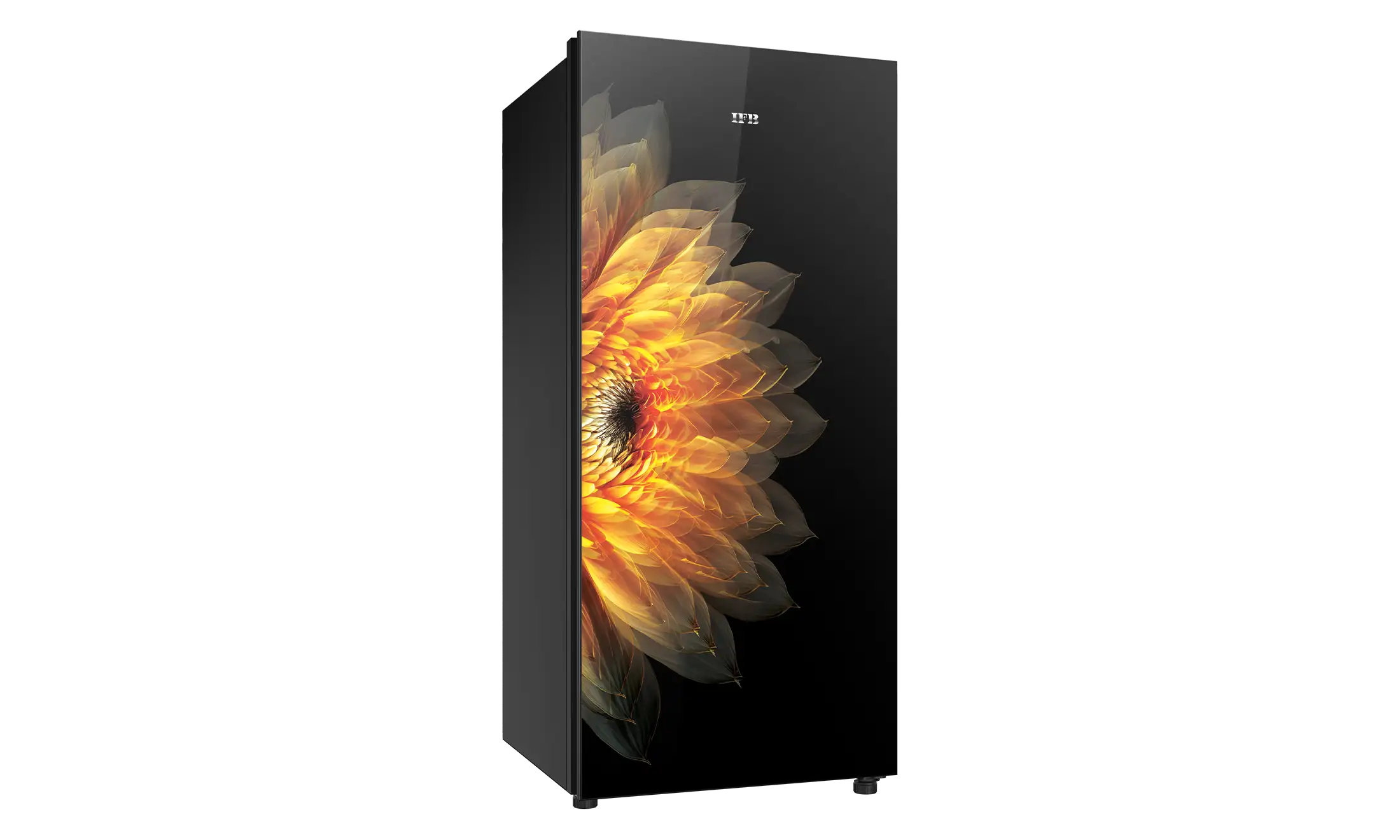 IFB IFBDC-213DISG 187L 4 Star Direct Cool Refrigerator | Official IFB image 3 | SKU 8903287713293 | Ajay Trading Co.