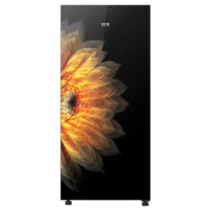 IFB IFBDC-213EISG 187L 5 Star Direct Cool Refrigerator | Official IFB image 1 | SKU 8903287713767 | Ajay Trading Co.