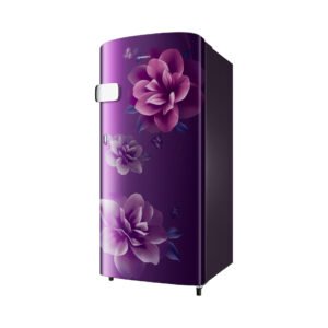 Samsung RR19H2YC1CR/NL official Samsung product image 1 | SKU RR19H2YC1CR/NL | Ajay Trading Co.