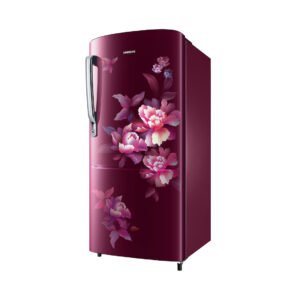 Samsung RR20H2712HN/NL official Samsung product image 1 | SKU RR20H2712HN/NL | Ajay Trading Co.