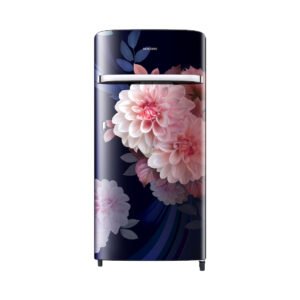 Samsung RR21H2G25BB/HL official Samsung product image 1 | SKU RR21H2G25BB/HL | Ajay Trading Co.