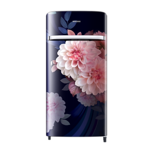 Samsung RR21H2G25BB/HL official Samsung image 1 | SKU RR21H2G25BB/HL | Ajay Trading Co.