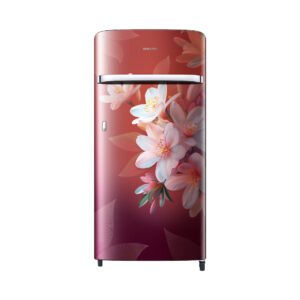 Samsung RR21H2G25WR/HL official Samsung product image 1 | SKU RR21H2G25WR/HL | Ajay Trading Co.