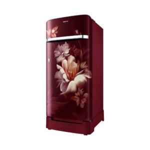 Samsung RR21H2H24RZ/HL official Samsung product image 1 | SKU RR21H2H24RZ/HL | Ajay Trading Co.