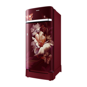 Samsung RR21H2H24RZ/HL official Samsung image 1 | SKU RR21H2H24RZ/HL | Ajay Trading Co.
