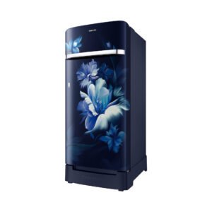 Samsung RR21H2H24UZ/HL official Samsung product image 1 | SKU RR21H2H24UZ/HL | Ajay Trading Co.