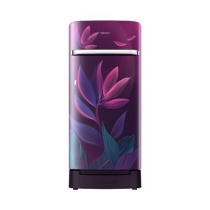 Samsung RR21H2H259R/HL official Samsung product image 1 | SKU RR21H2H259R/HL | Ajay Trading Co.