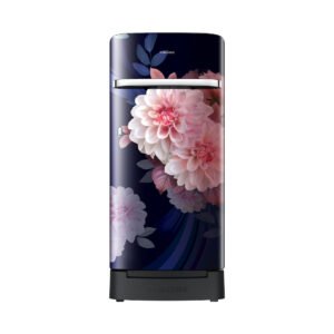 Samsung RR21H2H25BB/HL official Samsung product image 1 | SKU RR21H2H25BB/HL | Ajay Trading Co.