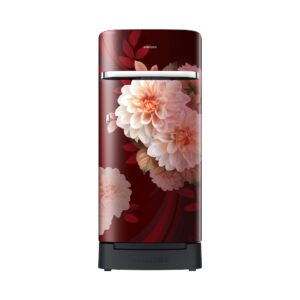 Samsung RR21H2H25BR/HL official Samsung product image 1 | SKU RR21H2H25BR/HL | Ajay Trading Co.