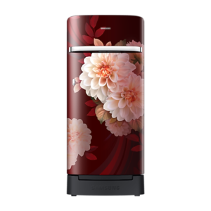 Samsung RR21H2H25BR/HL official Samsung image 1 | SKU RR21H2H25BR/HL | Ajay Trading Co.