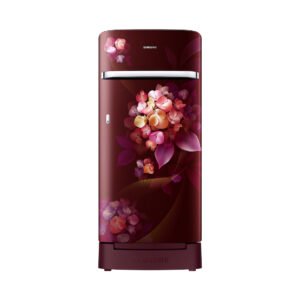 Samsung RR21H2H25HT/HL official Samsung product image 1 | SKU RR21H2H25HT/HL | Ajay Trading Co.