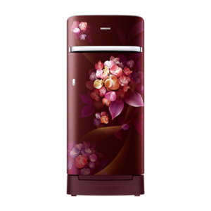 Samsung RR21H2H25HT/HL official Samsung image 1 | SKU RR21H2H25HT/HL | Ajay Trading Co.
