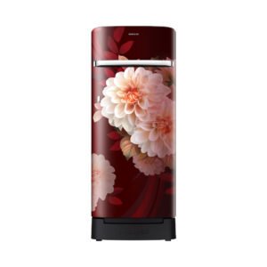 Samsung RR23H2H34BR/HL official Samsung product image 1 | SKU RR23H2H34BR/HL | Ajay Trading Co.