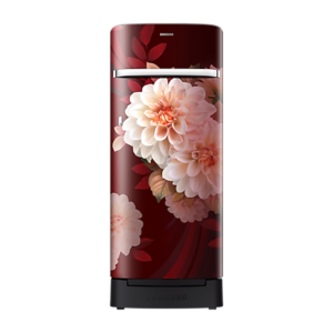 Samsung RR23H2H34BR/HL official Samsung image 1 | SKU RR23H2H34BR/HL | Ajay Trading Co.