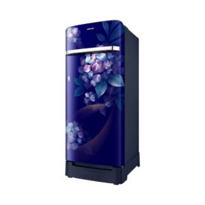 Samsung RR23H2H34HS/HL official Samsung product image 1 | SKU RR23H2H34HS/HL | Ajay Trading Co.