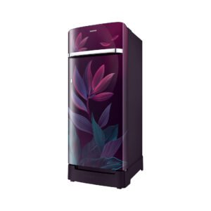 Samsung RR23H2H359R/HL official Samsung product image 1 | SKU RR23H2H359R/HL | Ajay Trading Co.