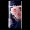 Samsung RR21H2G25BB/HL | Ajay Trading Co.